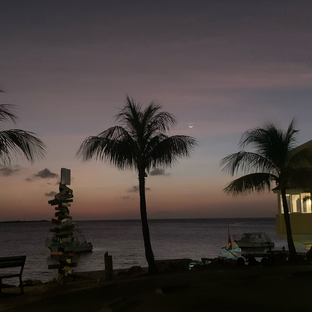 Meet your Posher, Freya